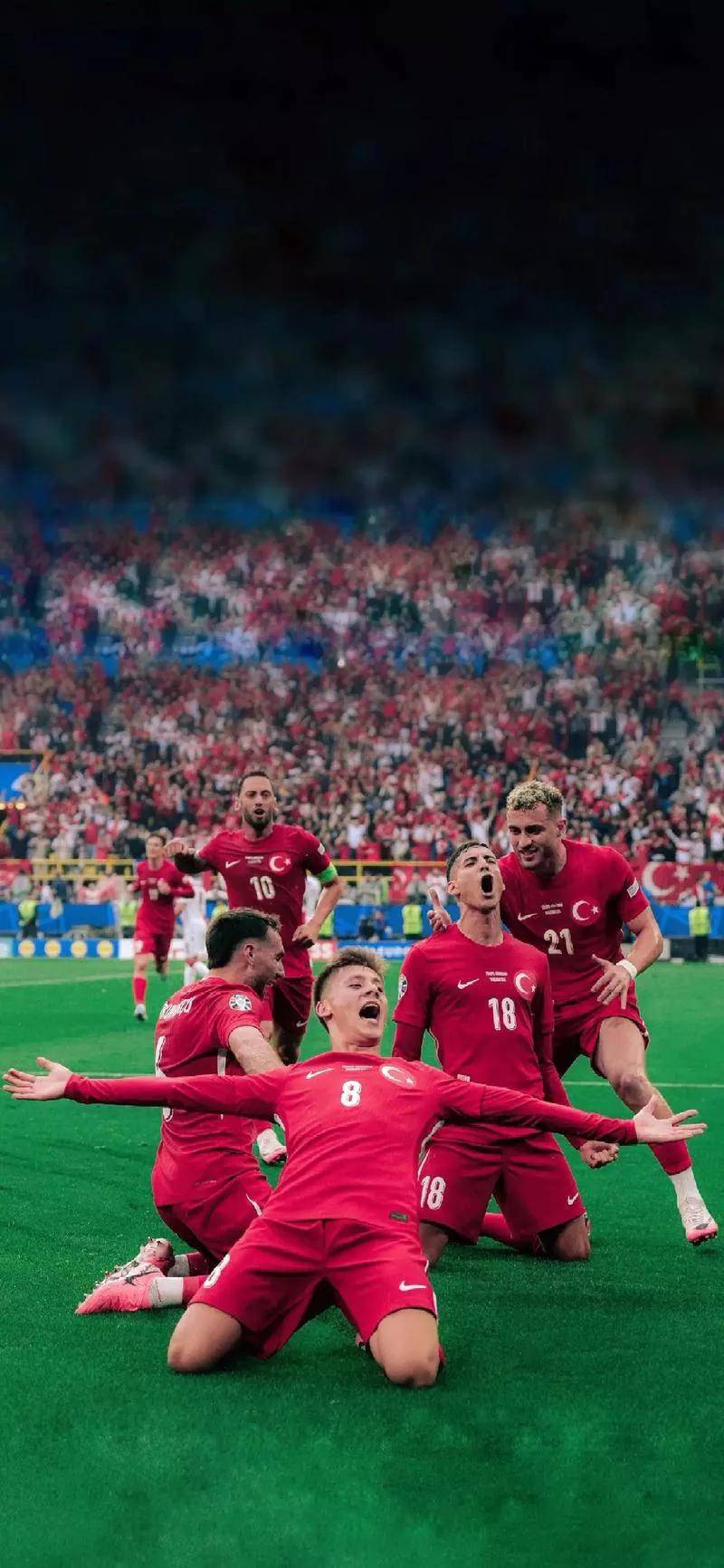 欧预赛瞩目战：瑞士队惊险获胜的简单介绍